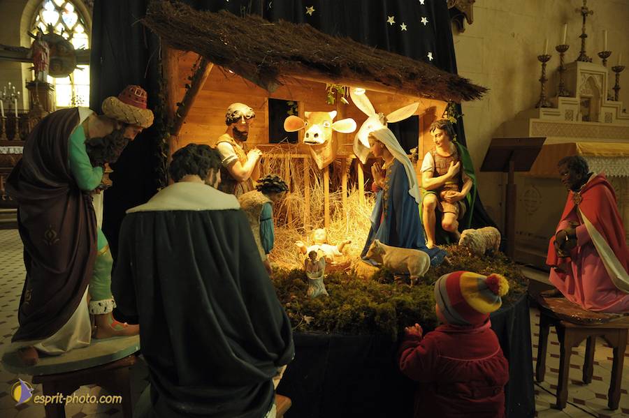 Nom de l'image : D30043010_1_(c)Norbert-JUNG — Description :